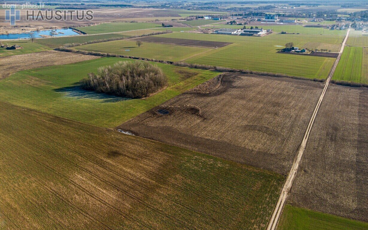 Parduodamas sklypas Panevėžio rajono sav., Krekenavoje