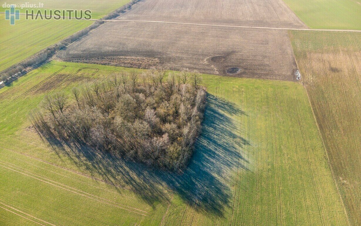 Parduodamas sklypas Panevėžio rajono sav., Krekenavoje