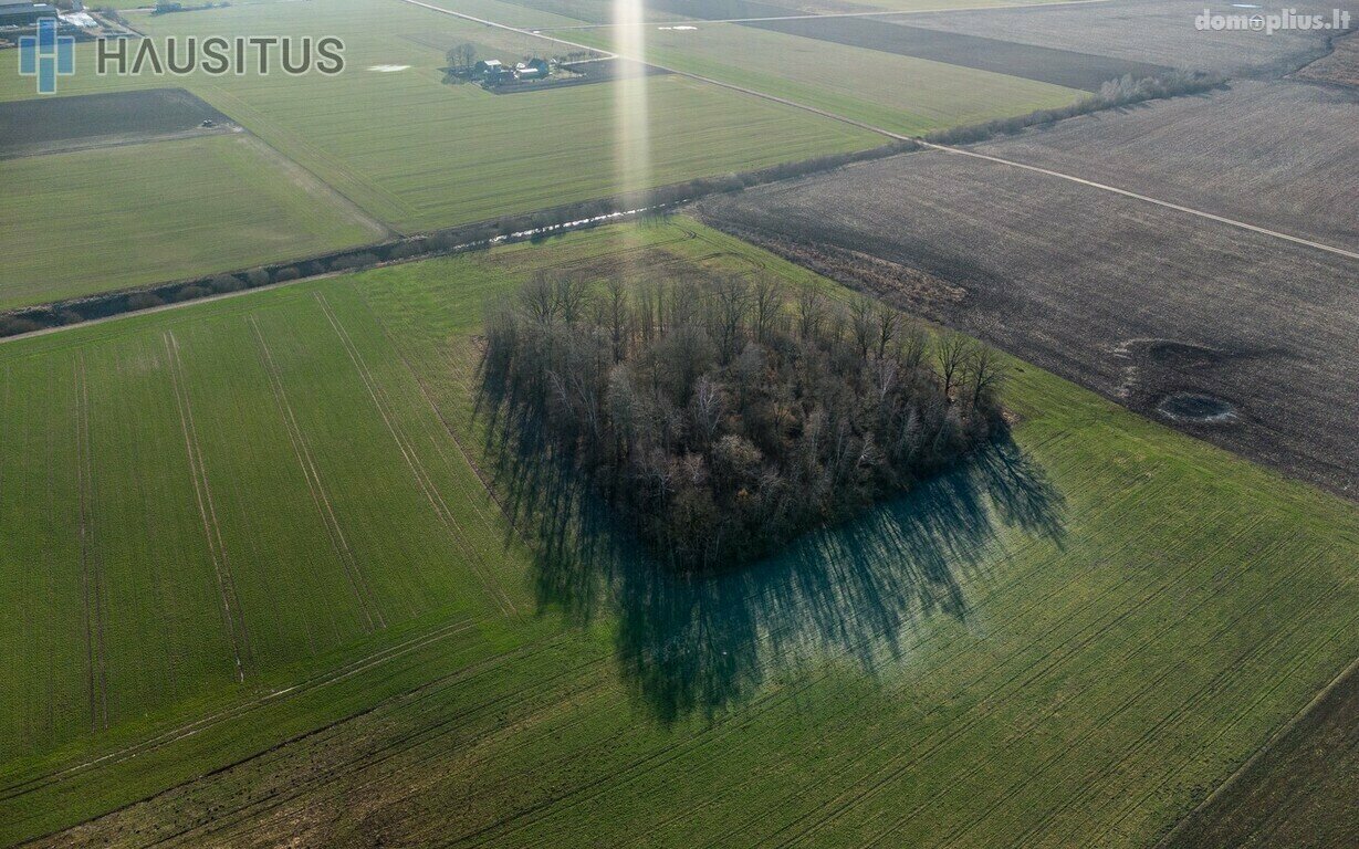 Parduodamas sklypas Panevėžio rajono sav., Krekenavoje