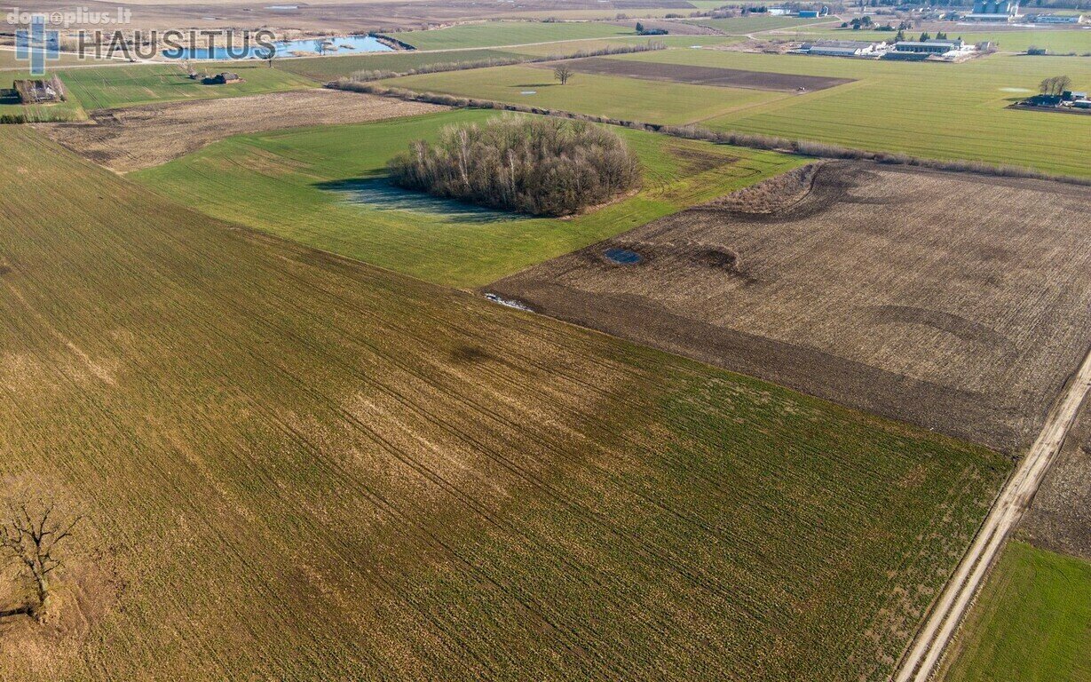 Parduodamas sklypas Panevėžio rajono sav., Krekenavoje
