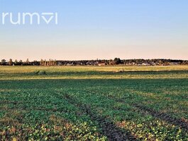 Parduodamas sklypas Panevėžyje, Žemaičiuose, Ryšininkų g.