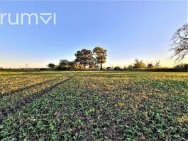 Parduodamas sklypas Panevėžyje, Žemaičiuose, Ryšininkų g.