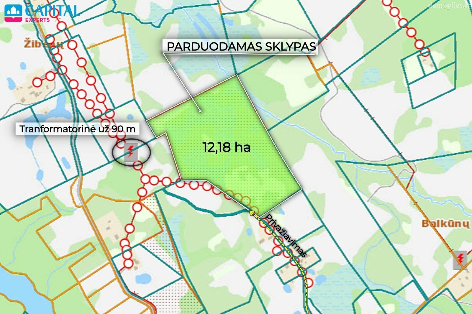 Участок Širvintų rajono sav., Balkūnuose