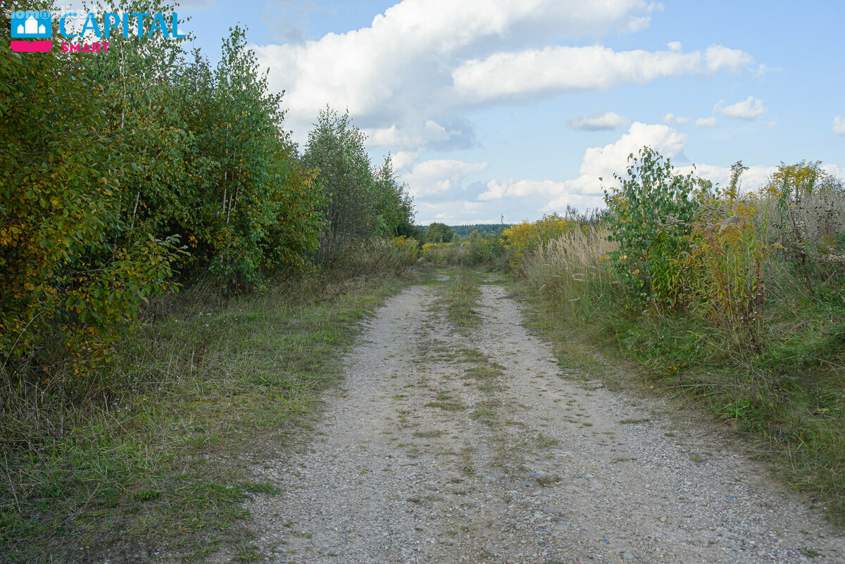 Parduodamas sklypas Vilniaus rajono sav., Nelydiškėse