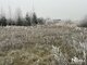 Parduodamas sklypas Šiaulių rajono sav., Dainos, Balandžio g. (10 nuotrauka)