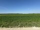 Parduodamas sklypas Šiaulių rajono sav., Šapnagiuose (1 nuotrauka)