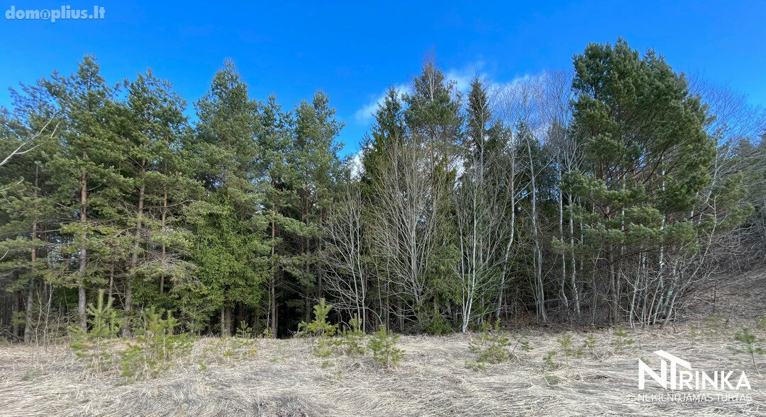 Parduodamas sklypas Šiaulių rajono sav., Bubiuose, Gervėnų g.