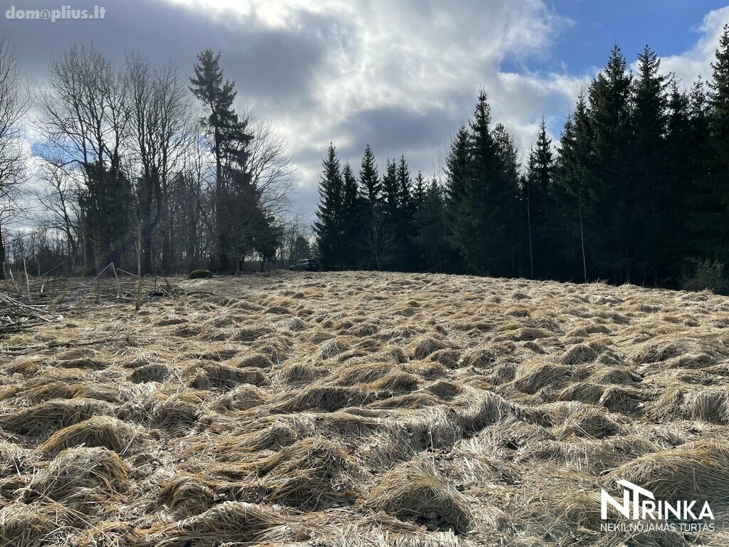 Parduodamas sklypas Šiaulių rajono sav., Bubiuose, Gervėnų g.
