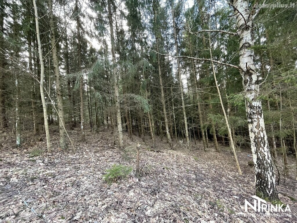 Parduodamas sklypas Šiaulių rajono sav., Bubiuose, Gervėnų g.