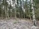Parduodamas sklypas Šiaulių rajono sav., Bubiuose, Gervėnų g. (16 nuotrauka)
