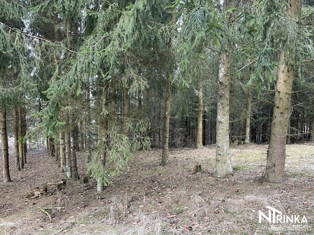 Parduodamas sklypas Šiaulių rajono sav., Bubiuose, Gervėnų g.