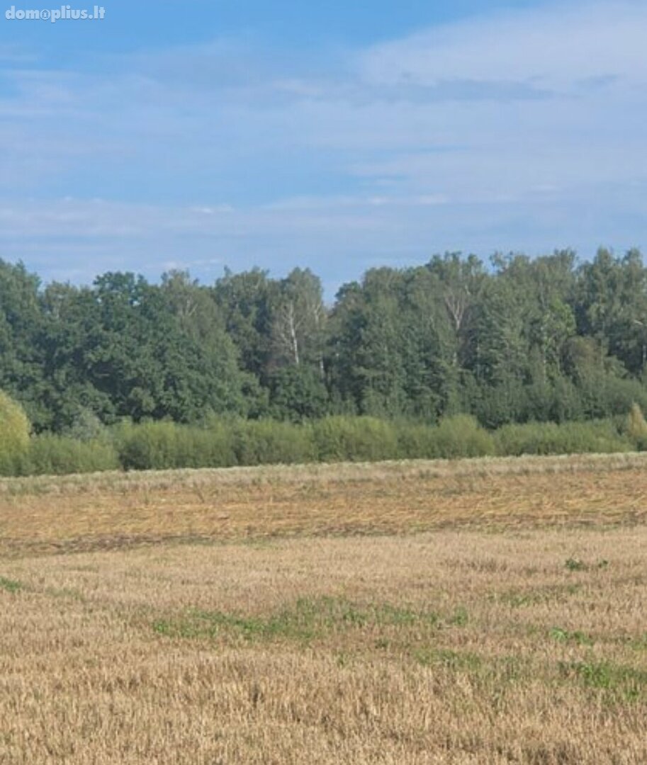 Parduodamas sklypas Panevėžio rajono sav., Vaivaduose, Klevų g.