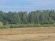 Parduodamas sklypas Panevėžio rajono sav., Vaivaduose, Klevų g. (3 nuotrauka)
