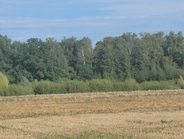 Parduodamas sklypas Panevėžio rajono sav., Vaivaduose, Klevų g.