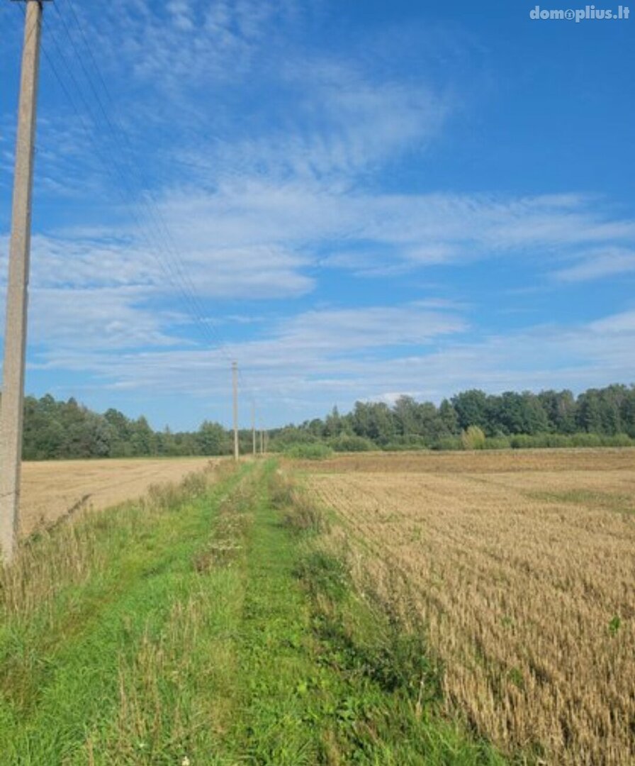 Parduodamas sklypas Panevėžio rajono sav., Vaivaduose, Klevų g.