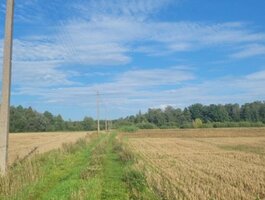 Parduodamas sklypas Panevėžio rajono sav., Vaivaduose, Klevų g.