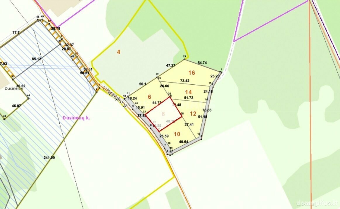 Участок Vilniaus rajono sav., Dusinėnuose