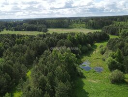 Parduodamas sklypas Molėtų rajono sav., Vanagiškėse