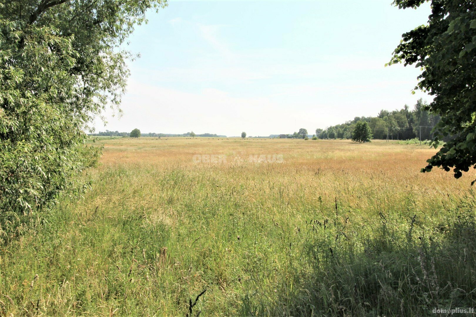 Parduodamas sklypas Šilutės rajono sav., Muižėje