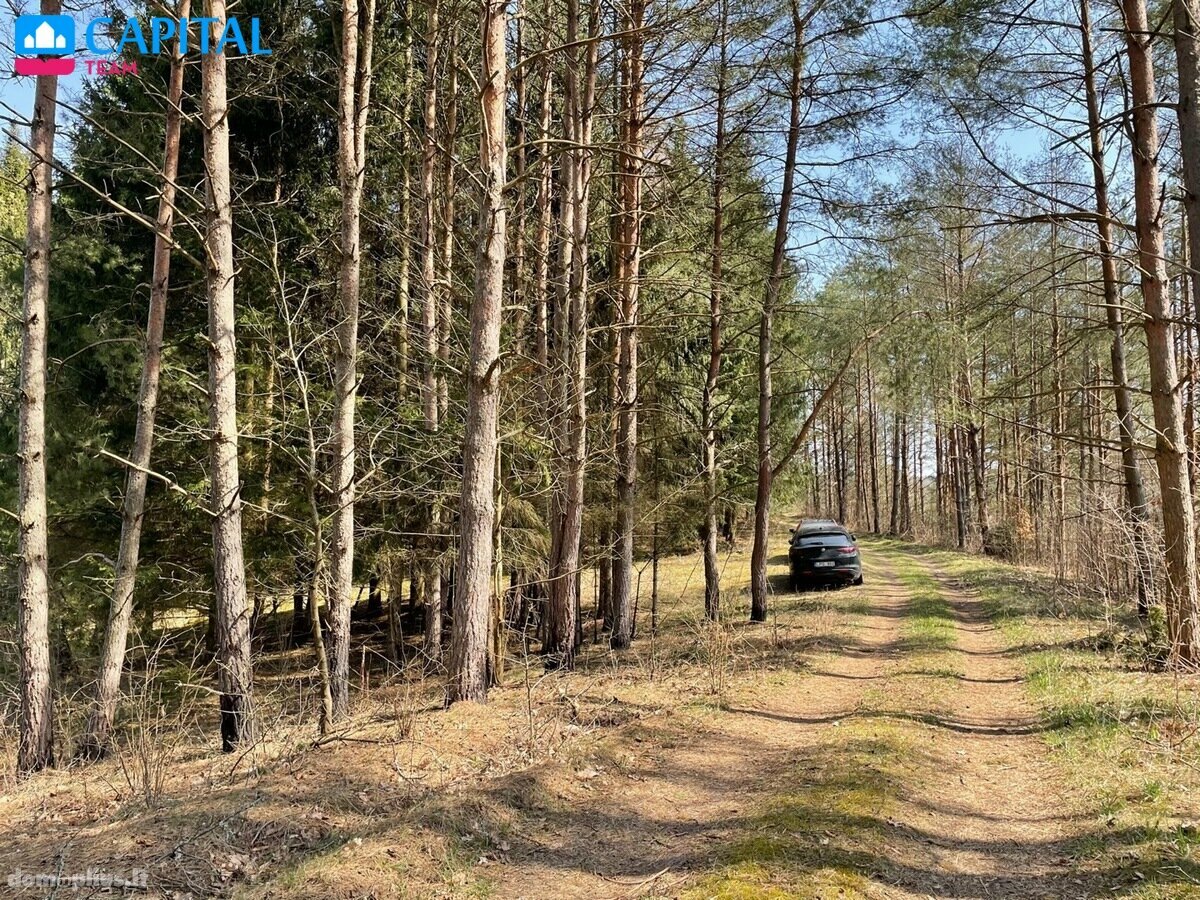 Parduodamas sklypas Trakų rajono sav., Aukštadvaryje, Verknės g.