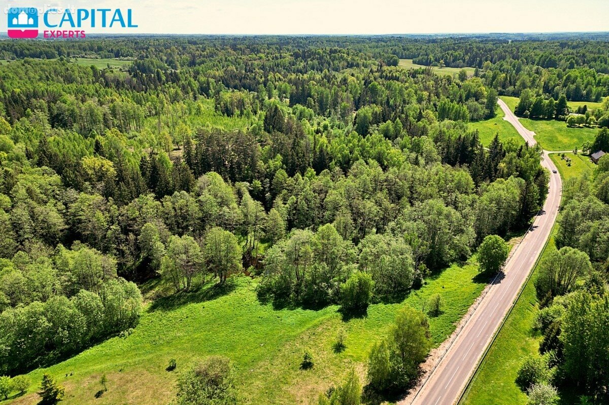 Parduodamas sklypas Molėtų rajono sav., Antaliežiuose