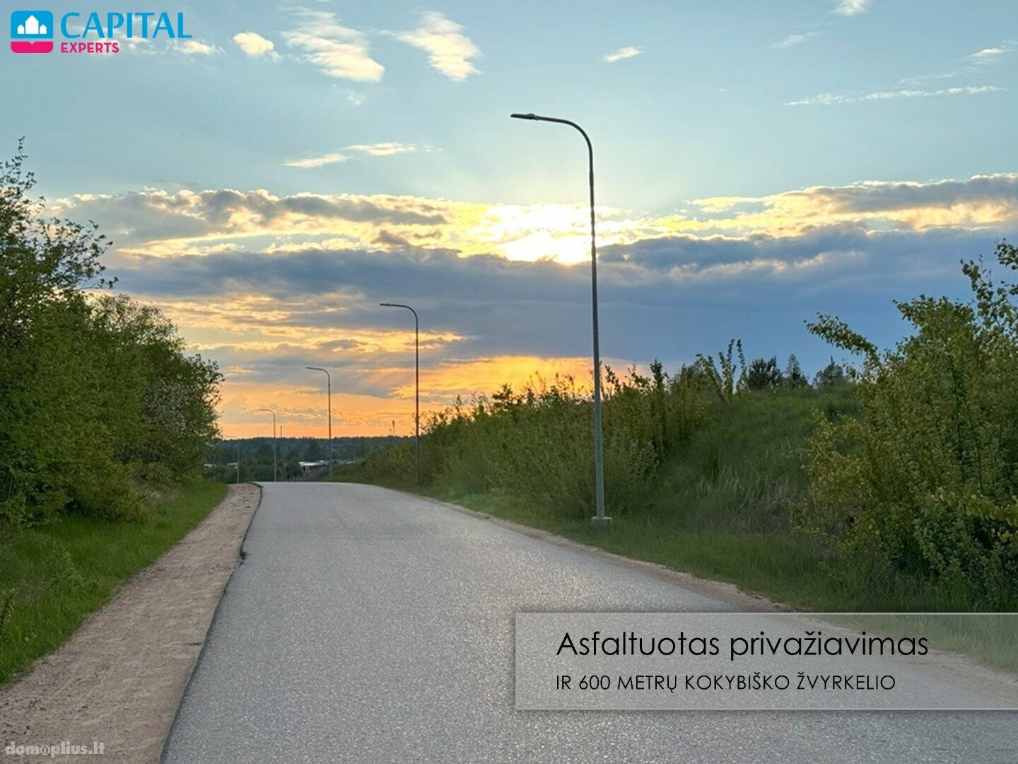 Parduodamas sklypas Vilniaus rajono sav., Didžiasalyje