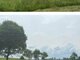 Parduodamas sklypas Druskininkų sav., Jovaišiuose, Jovaišių g. (2 nuotrauka)
