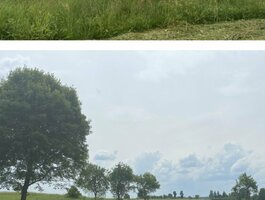 Parduodamas sklypas Druskininkų sav., Jovaišiuose, Jovaišių g.