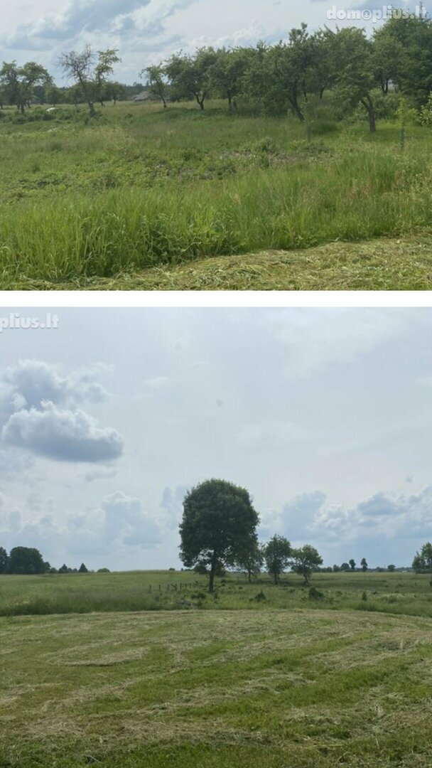 Parduodamas sklypas Druskininkų sav., Jovaišiuose, Jovaišių g.