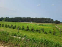 Parduodamas sklypas Klaipėdos rajono sav., Rokuose, Vėžių g.