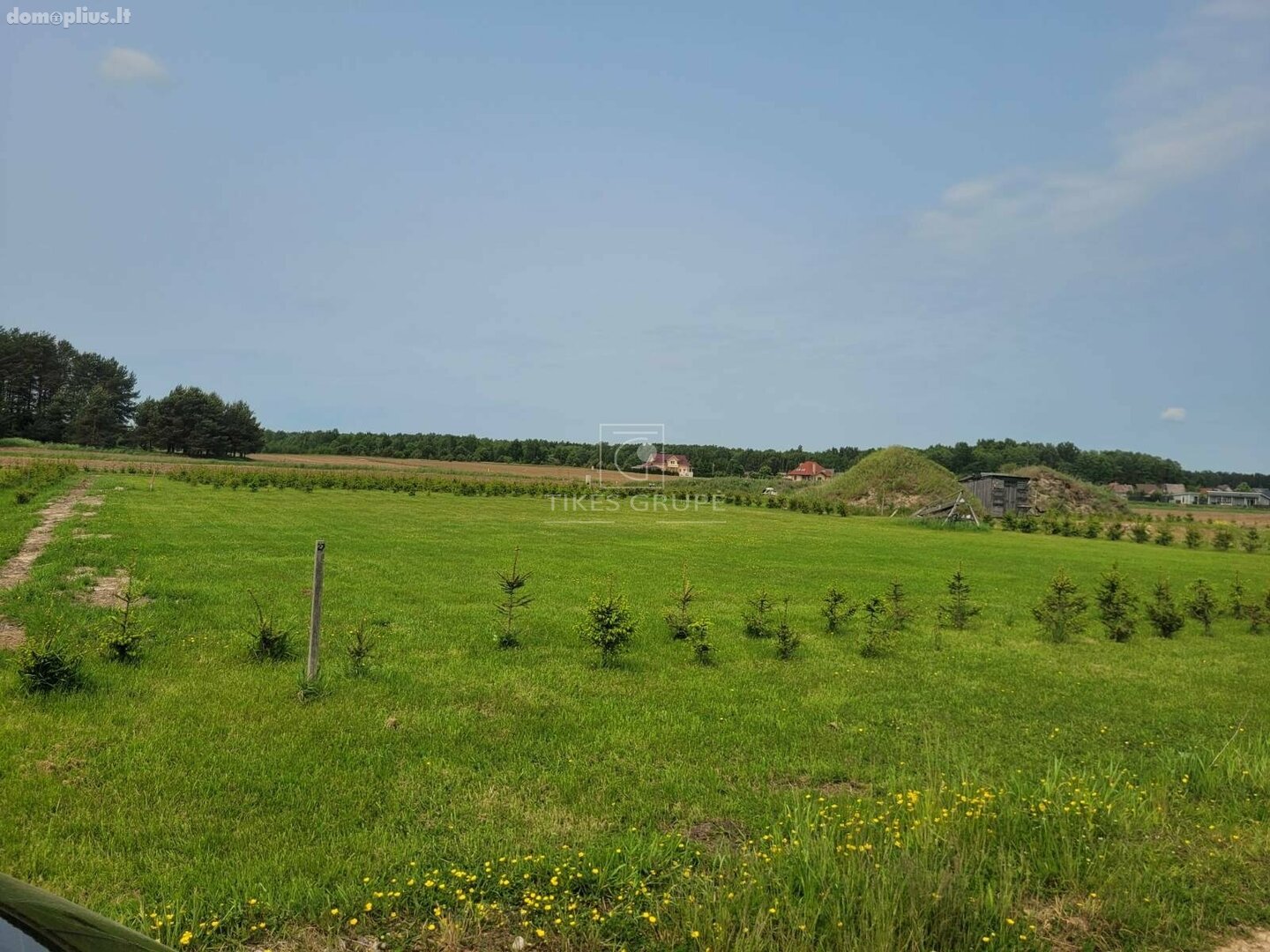Parduodamas sklypas Klaipėdos rajono sav., Rokuose, Vėžių g.