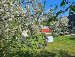 Parduodamas sklypas Vilniaus rajono sav., Miškonyse