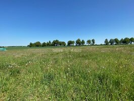Parduodamas sklypas Šiaulių rajono sav., Šapnagiuose