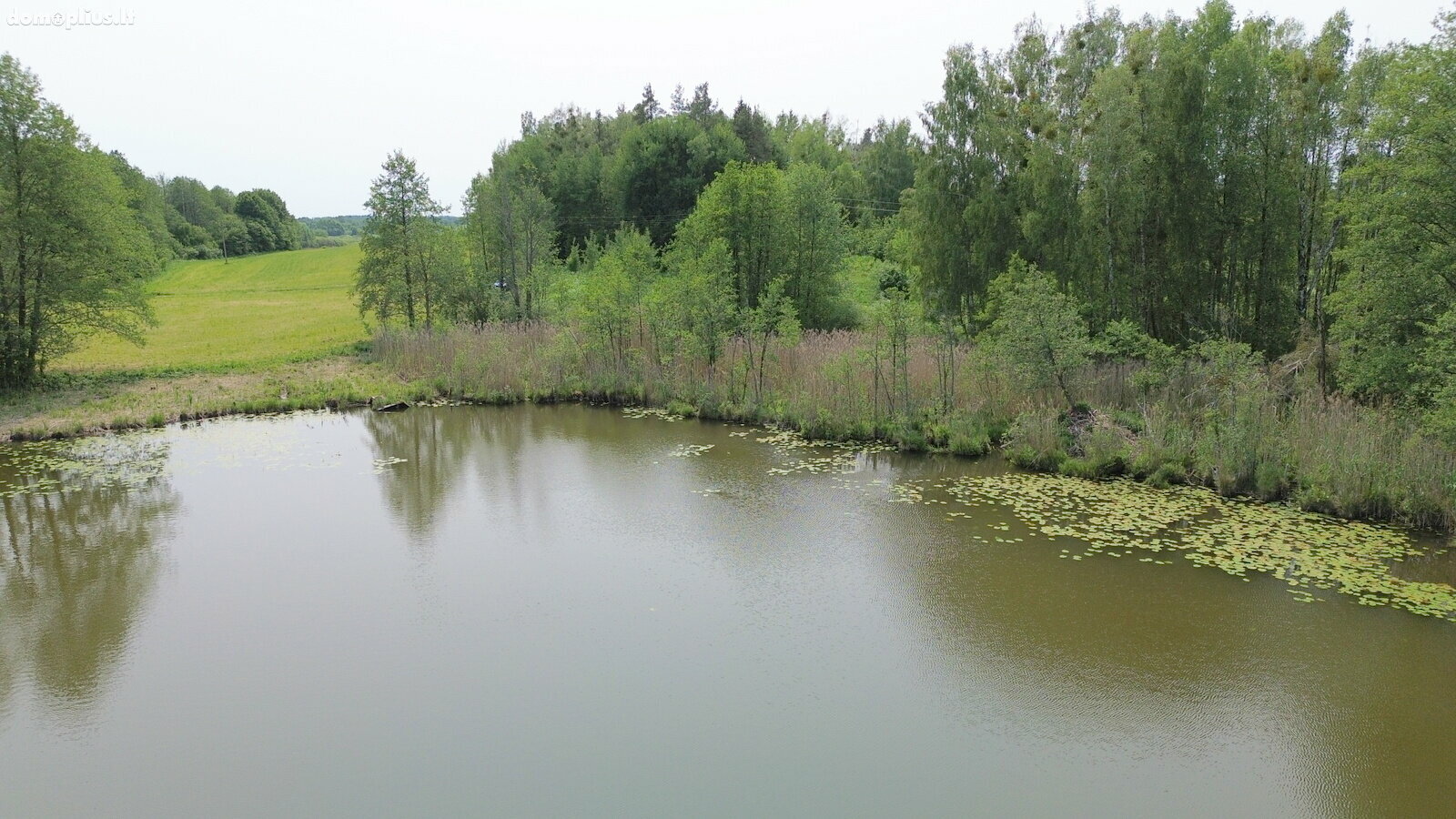 Parduodamas sklypas Varėnos rajono sav., Papiškiuose