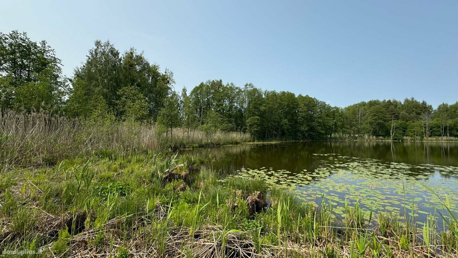 Parduodamas sklypas Varėnos rajono sav., Papiškiuose