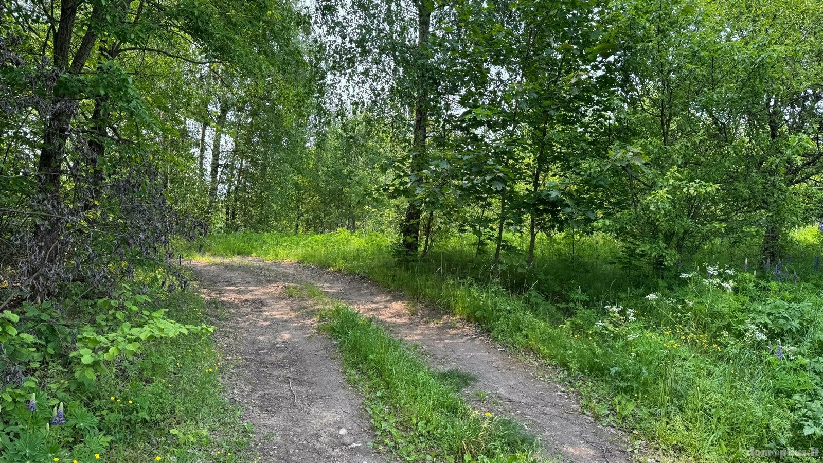 Parduodamas sklypas Varėnos rajono sav., Papiškiuose