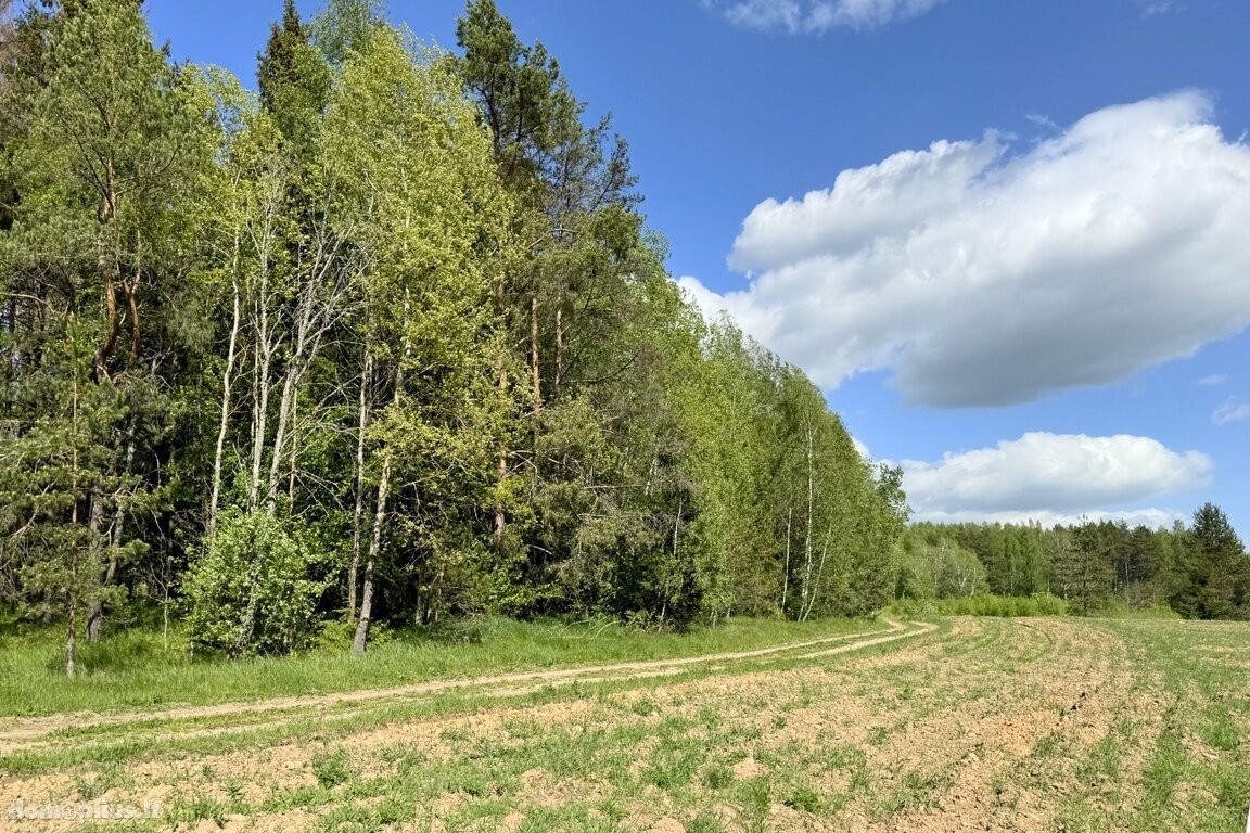 Parduodamas sklypas Trakų rajono sav., Vytautavoje