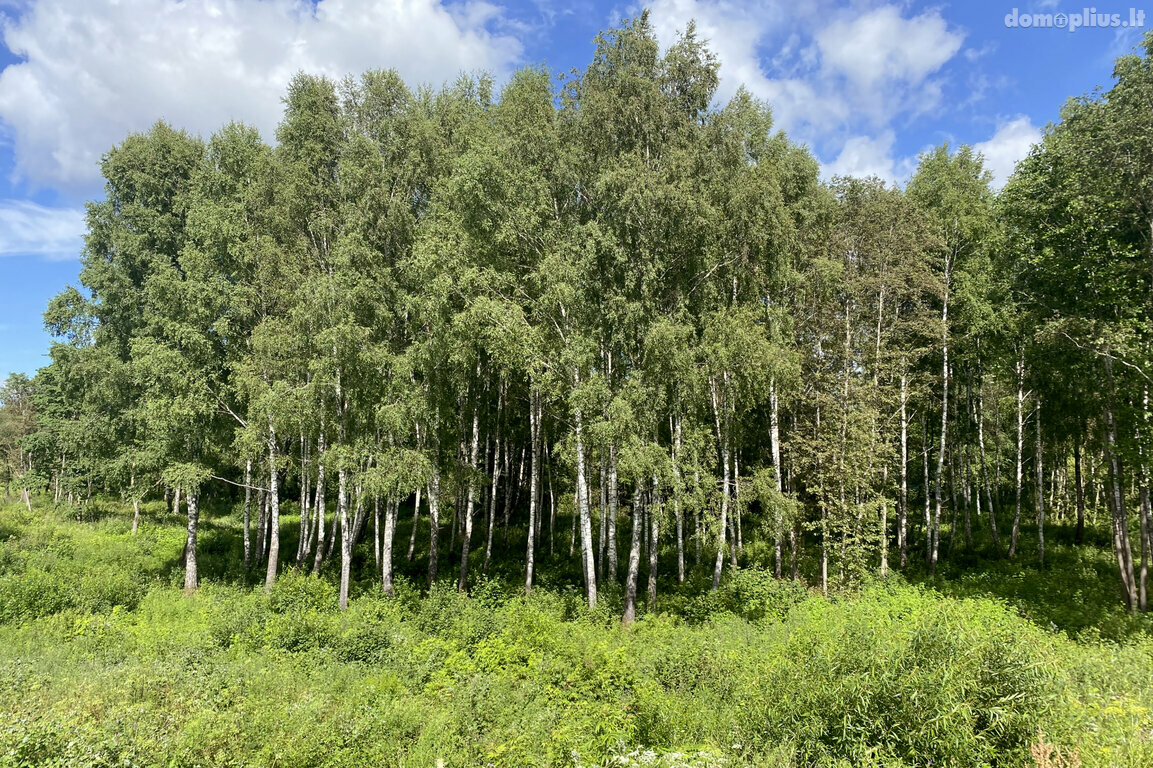 Parduodamas sklypas Trakų rajono sav., Padvariškėse