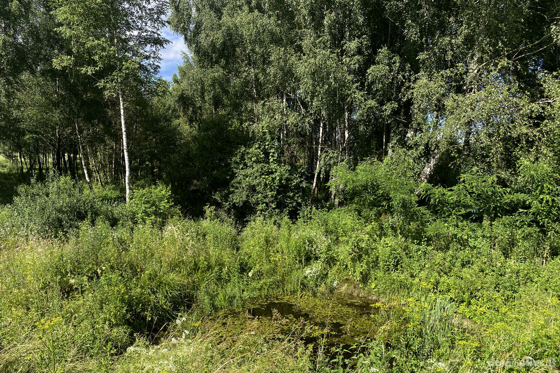 Parduodamas sklypas Trakų rajono sav., Padvariškėse
