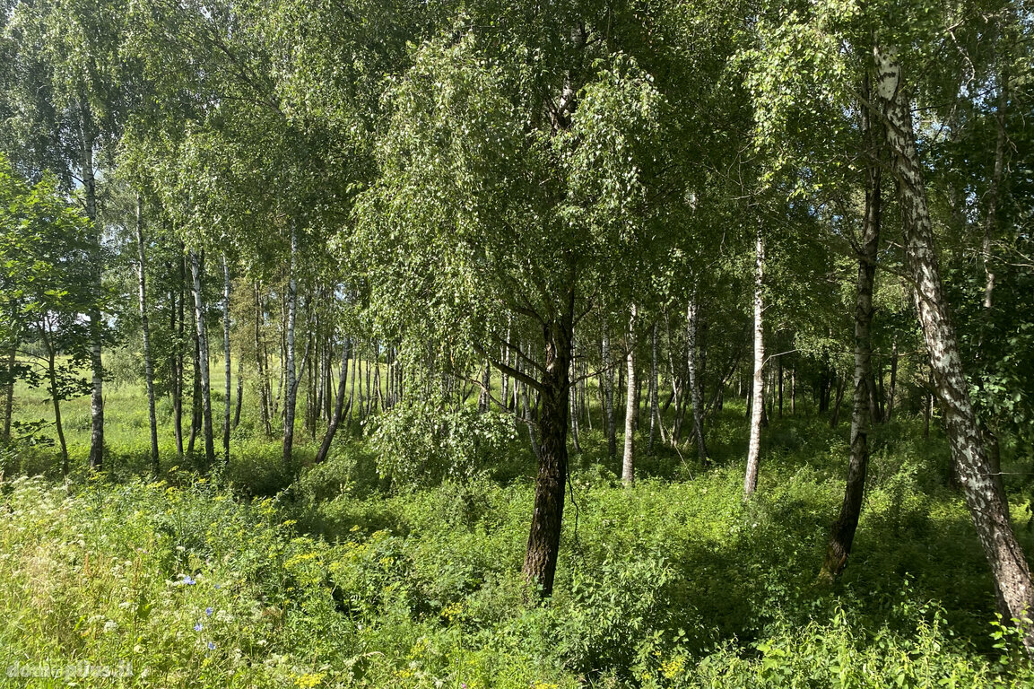 Parduodamas sklypas Trakų rajono sav., Padvariškėse
