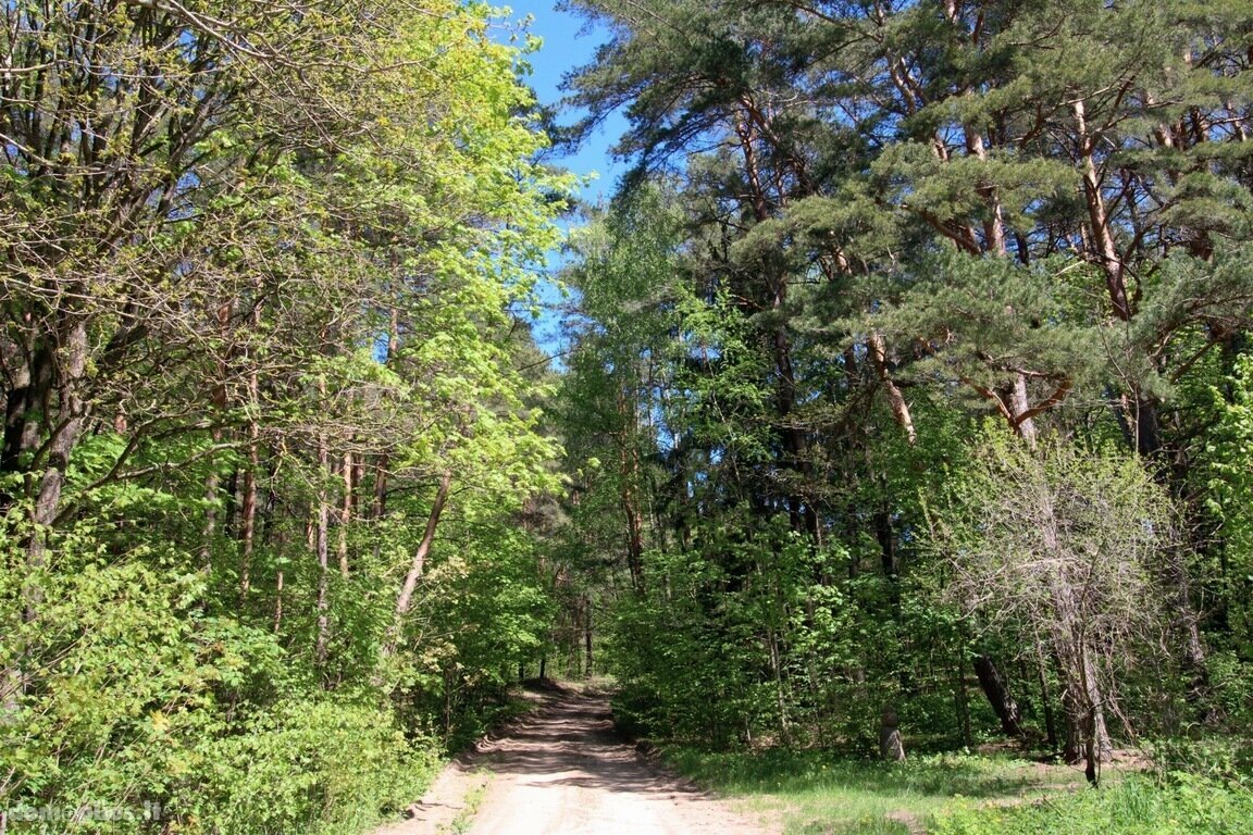Parduodamas sklypas Trakų rajono sav., Vilkokšnyje
