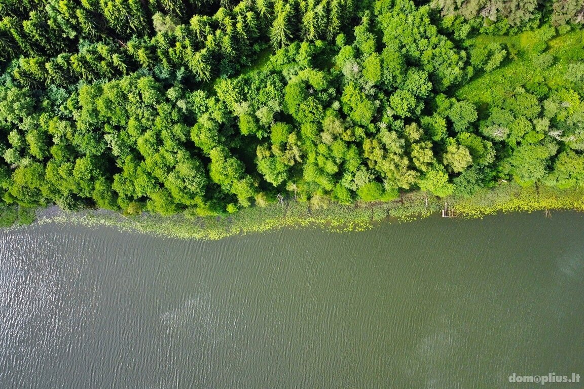 Parduodamas sklypas Molėtų rajono sav., Grinkliškiuose