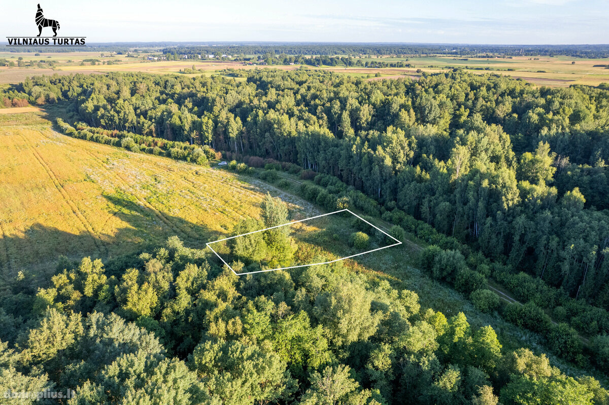 Участок Vilniaus rajono sav., Rudokuose