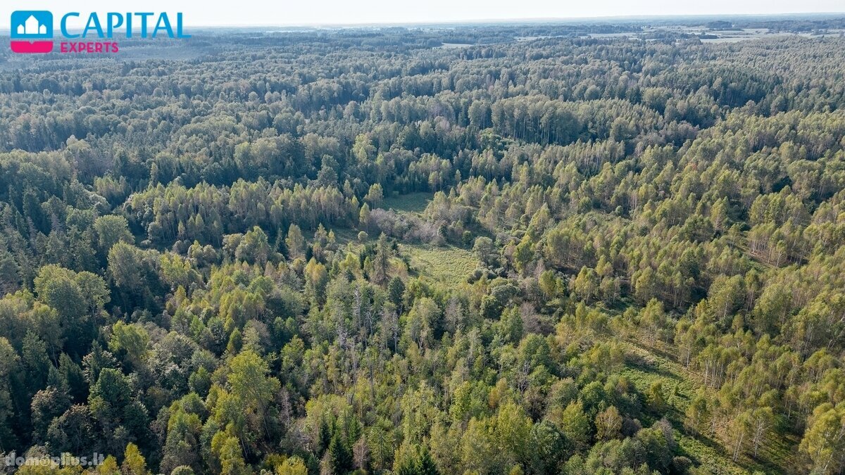 Участок Širvintų rajono sav., Šventakalnyje