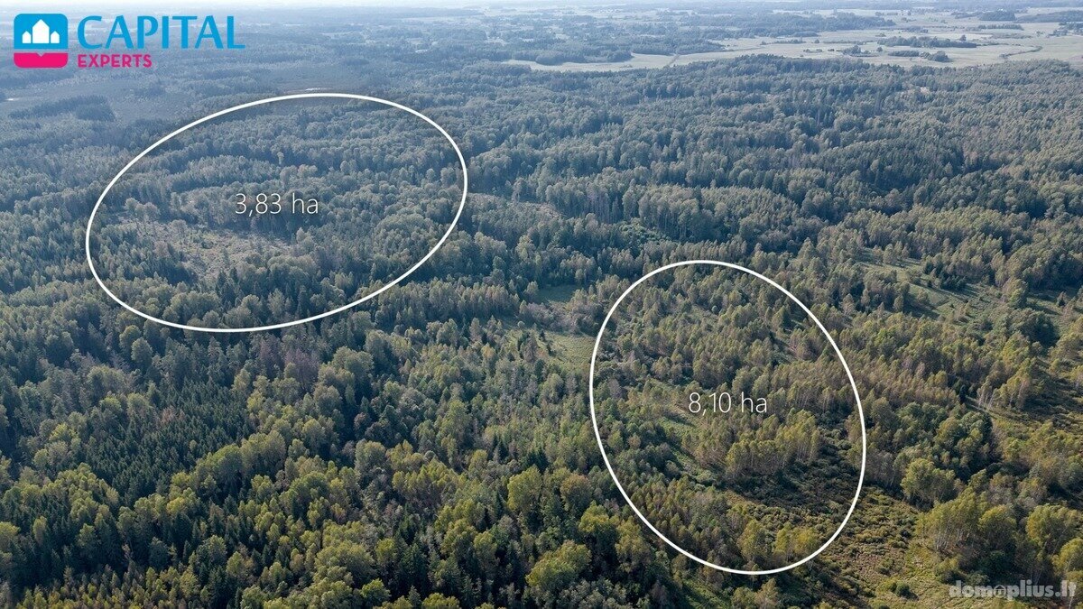 Участок Širvintų rajono sav., Šventakalnyje