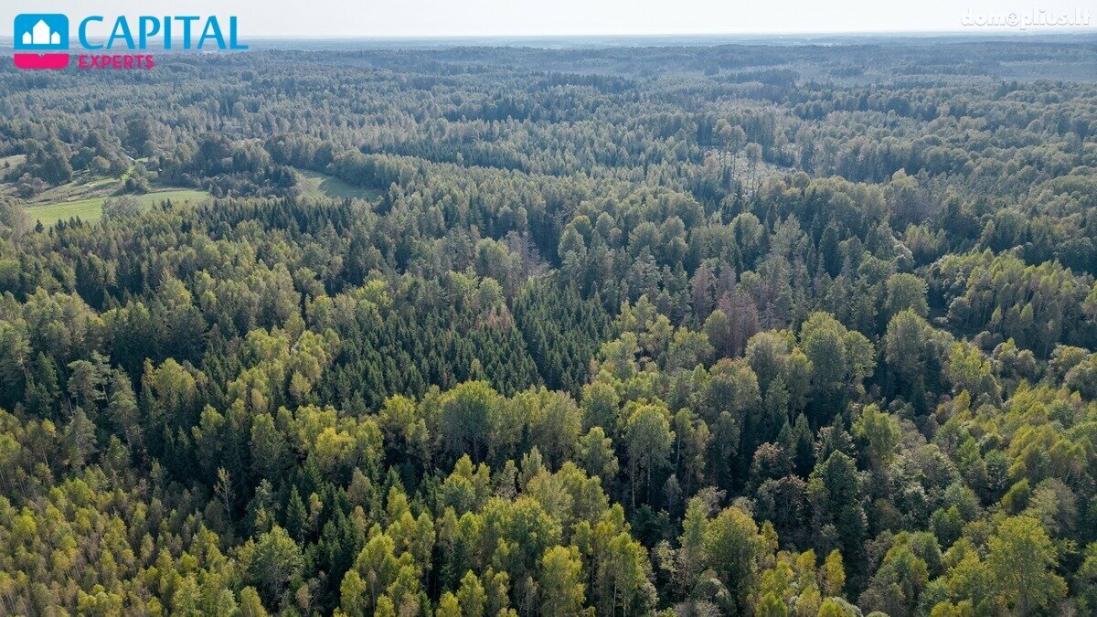 Участок Širvintų rajono sav., Šventakalnyje