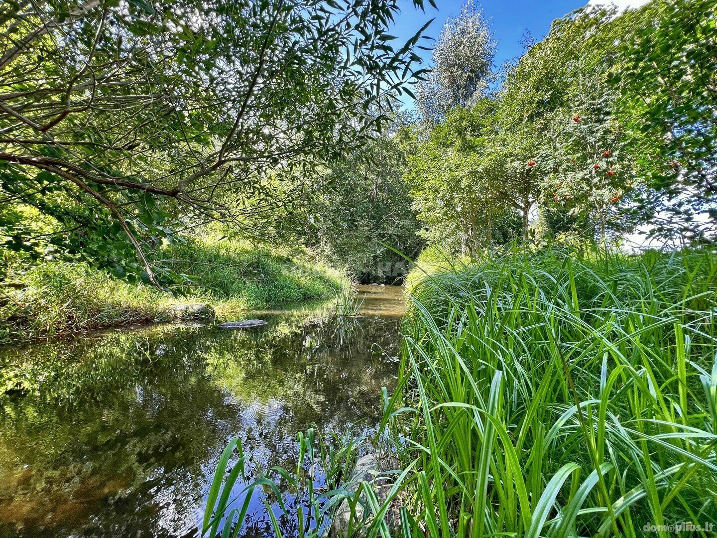 Parduodamas sklypas Klaipėdos rajono sav., Lyveriuose