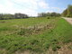 Land for sale Šilutės rajono sav., Šturmuose (9 picture)
