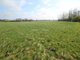 Land for sale Šilutės rajono sav., Šturmuose (11 picture)