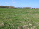 Land for sale Šilutės rajono sav., Šturmuose (12 picture)